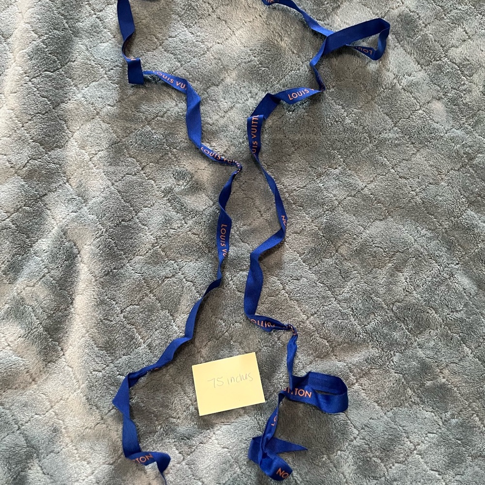 Louis Vuitton Blue Ribbon View 2